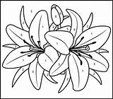 Coloring Pages Seniors Getdrawings sketch template