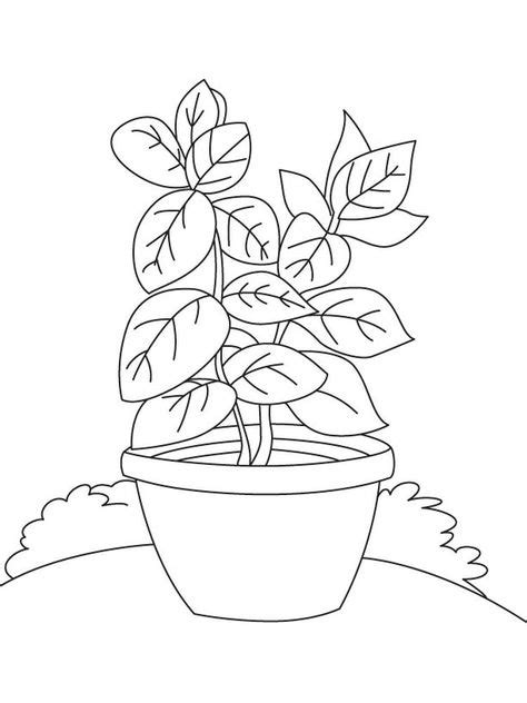 printable plant coloring pages  coloring sheets