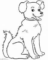 Mewarnai Anjing Lucu Binatang Untuk Sketsa Imut Scooby Doo Lihat sketch template