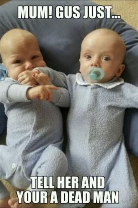 favorite twin memes    place funny baby pictures twin humor funny babies