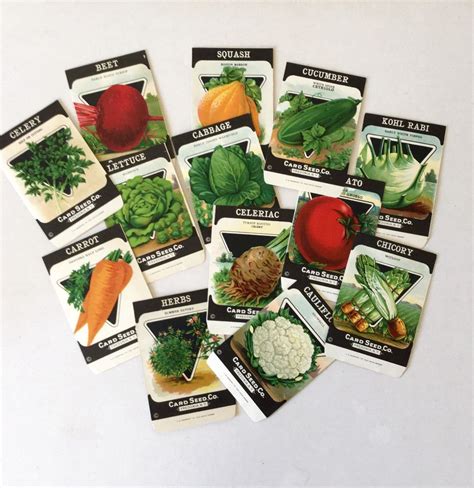vintage seed package vegetable herb lithograph packets set  etsy