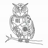 Owl Relaxing Turtle sketch template