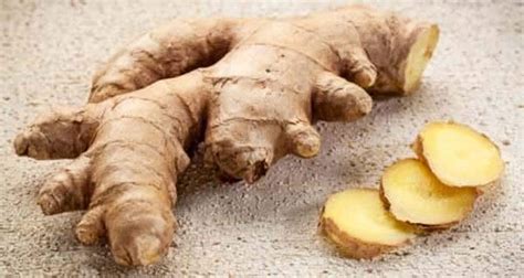 beauty benefits  ginger   skin  hair read health related blogs articles news