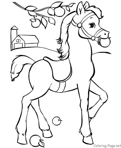 baby horse coloring page horse coloring books horse coloring animal