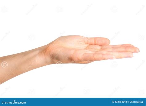 woman showing open hand   showing  stock photo image