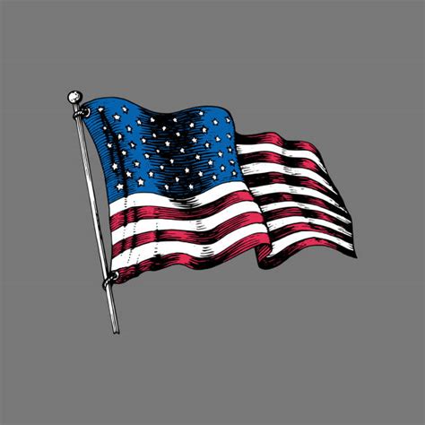 Black American Flag Illustrations Royalty Free Vector