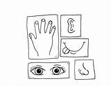 Sentidos Corpo Cinco Senses Colorir Tudodesenhos Kindergarten Scienze Observations Descriptive sketch template