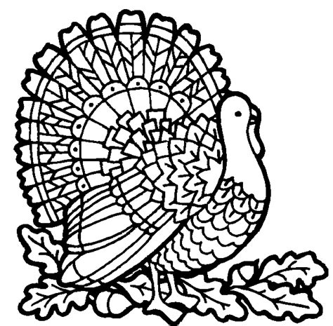 transmissionpress thanksgiving coloring pages  kids
