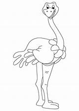 Somali Ostrich sketch template
