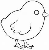Chick Chicken Coloring Pages Printable Kids Outline Baby Colouring Drawing Simple Sheets Animal Template Cartoon Chickens Templates Cute Hen Color sketch template