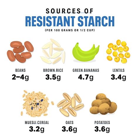 foods   high  resistant starch healzecom