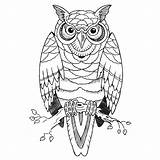 Tattoos Corujas Owls Burung Buho Hantu Coruja Búho Rama Divertir Salvar Pngwing Nicepng Bestcoloringpages sketch template