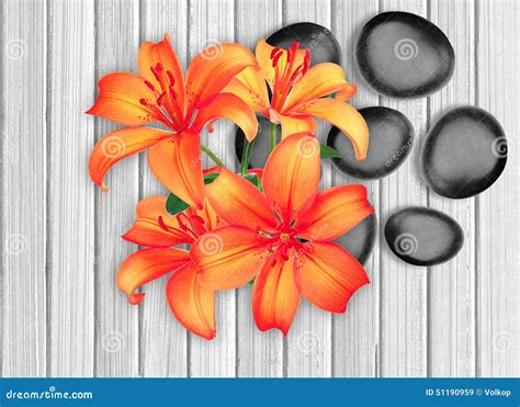 black spa stones  red lily  white wooden stock image image