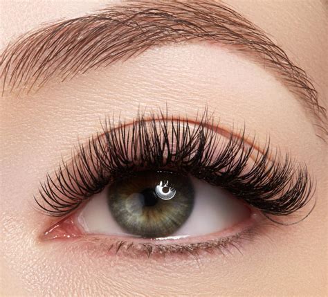 classic eyelash extensions by mina k lashes mina k