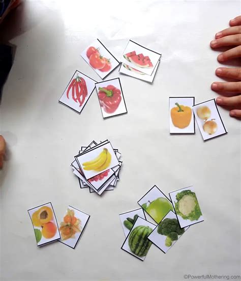 sorting fruit  vegetables  color   printable