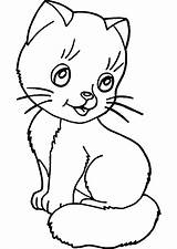 Animali Stampare Gatti Cani Disegno Disegnare Katzen Facili Colorati Colorear Plastique Dingue sketch template