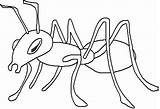 Colorat Furnica Planse Furnici Desene Animale Insecte sketch template
