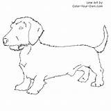 Dachshund Coloring Wirehaired Dog Color Pages Own Puppy Drawings Line Kids Inkspired Musings sketch template