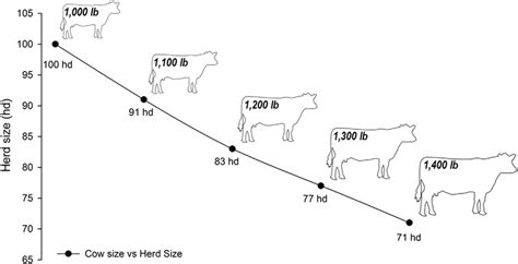 tradeoff   size  potential herd size model assumes