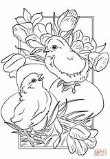Easter Coloring Chicks Pages Printable Baby Drawing sketch template