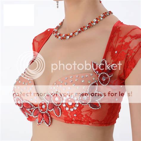 Professional Belly Dance Performance Costume Bra Top And Skirt Lace