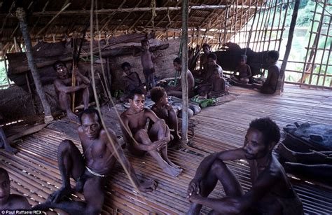 meet the korowai tribe of new guinea daily mail online