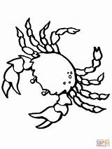 Krebs Crab Coloring Sea Ausmalbild Creature Kostenlos Crustacean sketch template