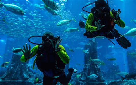 snorkel  dubai desertdivers