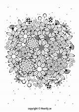 Erwachsene Frise Tahmino Malbuch Malen Fleurs sketch template