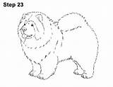 Chow Chowchow sketch template