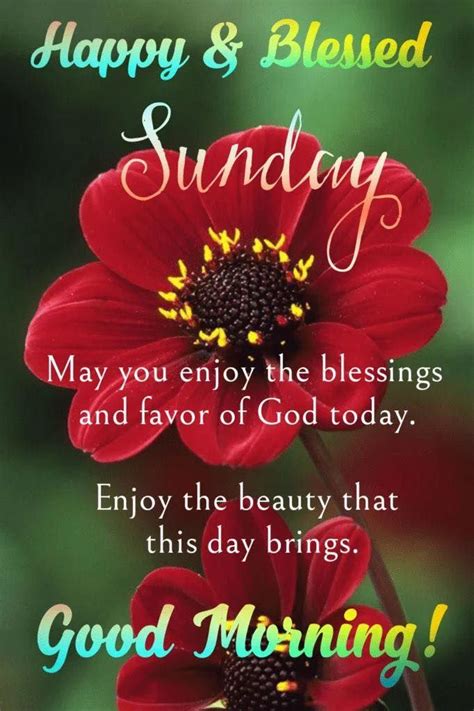 enjoy  blessings  favor  god today happy blessed sunday