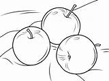 Mele Tre Wuppsy Mela Fruits Apples sketch template