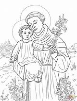 Anthony Coloring St Padua Pages Clipart Printable Timothy Paul Saint Assisi Supercoloring Francis Aquinas Thomas Kids Color Drawing Clipground Catholic sketch template