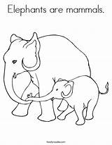 Coloring Pages Elephant Mammals Elephants Worksheet Baby Mama Thailand Printable Cartoon Colouring Color Twistynoodle Clipart Print Noodle Clip Animal Built sketch template