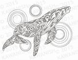 Whale Coloring Adult Wall Gift Zentangle Pages Etsy Choose Board sketch template