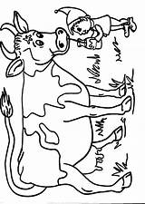 Colorare Mucca Disegni Bambini Animali Vitello Fattoria Vacca sketch template