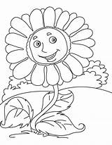 Sunflower Coloring Giant Pages sketch template