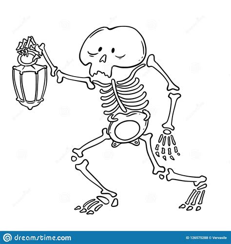 funny scary skeleton with lantern halloween vector