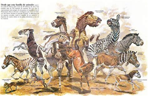 cebra busqueda de google ancient animals prehistoric wildlife