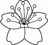 Clipart Spring Outline Flowers Cliparts Library Drawings sketch template
