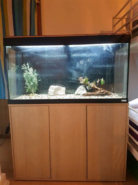 fluval  liter fish tank  stand  sale  trafford manchester