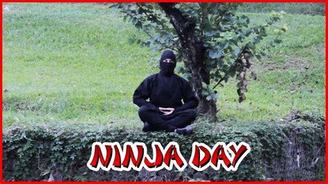 Dalva Day 2016 Dia Internacional Do Ninja