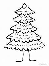 Coloring Tree Fir Pages Kids Recommended sketch template