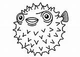 Fish Puffer Coloring Drawing Blowfish Pages Printable Color Pufferfish Kids Cartoon Puff Cute Drawings Getdrawings Paintingvalley Getcolorings Choose Board Colorir sketch template