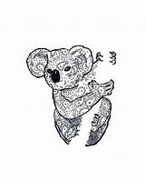 Koala Zen Zentangle Web Awesome Guardado sketch template