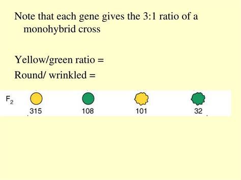 Ppt Transmission Classical Mendelian Genetics Ch 11 Powerpoint