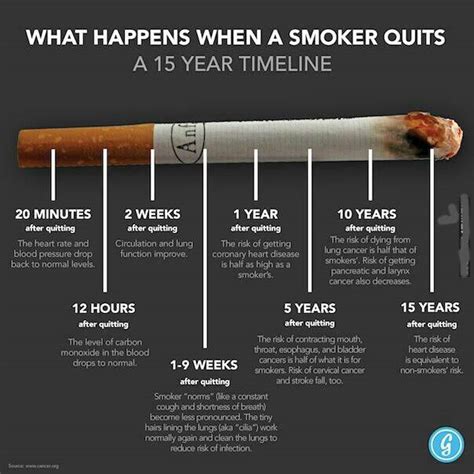 what happens when you quit smoking the daily blog