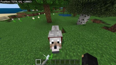 wolf  minecraft spawning behavior taming