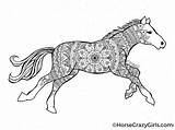 Horse Coloring Pages Printable Horses Color Print Kids Printables Adults Pdf Gorgeous Computer Sheets Realistic Girls Animal Rocks Horsecrazygirls Open sketch template
