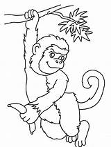 Monkey Coloring Pages Cartoon Kids Spider Printable Drawing Drawings Cliparts Realistic Color Clipart Cute Book Animals Face Colouring Getdrawings Library sketch template